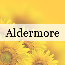 Aldermore Bank