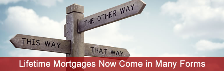 Lifetime Mortgages now come in many forms and quality Equity Release advice is essential